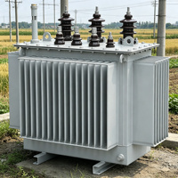 Transformador Trifásico Sumergido en Aceite S13-M de Baja Pérdida, 1000kVA, Cobre Puro, 10KV 400V Dyn11, Programas de Electrificación Rural, 50/60Hz