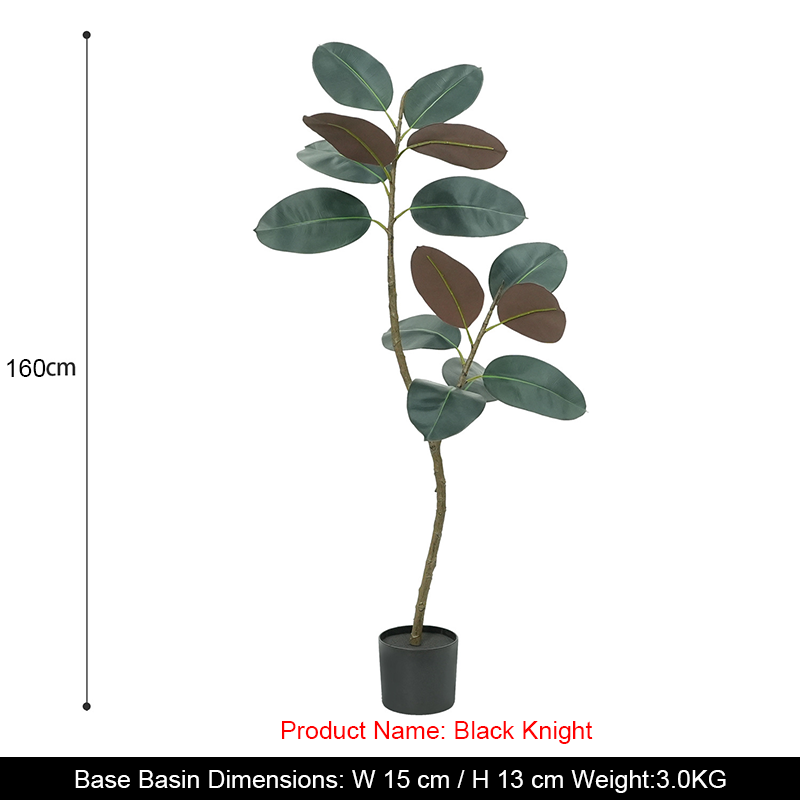 Ficus élastique 160 cm