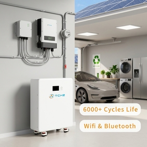 Batería LiFePO4 CE MSDS Touch de 25.6V 280Ah 300Ah 7kWh 8kWh <span class=keywords><strong>10kWH</strong></span>, <span class=keywords><strong>Pylontech</strong></span> para Almacenamiento de Energía Solar en el Hogar, Fuera de la Red - Product Image 6