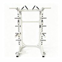 Rack de musculation commercial demi-cage avec rangement pour plaques, crochets en J et bras de sécurité pour l'entraînement de musculation en salle de sport