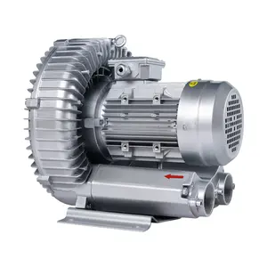 Quality Blower 2HP Air Blower Electric Pumps High Quality