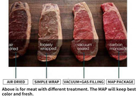 Machine d'emballage sous vide DMP 430 pour aliments cuits, scelleuse de barquettes à atmosphère modifiée (MAP) avec injection d'azote