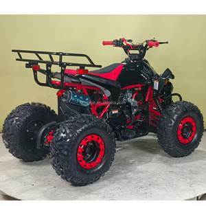 <span class=keywords><strong>Quad</strong></span> mini tout-terrain CHI YE Motor Bull 2 temps 50cc à transmission automatique par chaîne pour enfants - Product Image 3