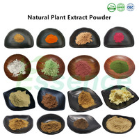 Extrait de plante naturelle pure Sakae Naa extrait poudre Compretum Quadrangulare extrait 10:1 100:1