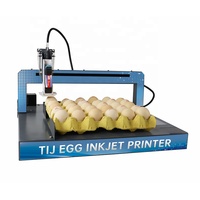 Kleine Volledige Plaat Inkjet Printen Vervaldatum Thermische Inkjetprinter Voor Kippeneend Ei