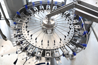 Machines de remplissage industrielles de qualité 3 en 1 pour nettoyage CIP de pasteurisation de bouteilles PET 8000BPH pour boissons non alcoolisées entièrement automatiques