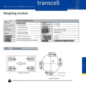 Modules de pesage VEIDT pour American Transmite Supplies : SBSZ-CWC-10t et SBSZ-CWC-13.5t SBSZ-CWC VEIDT Pesage - Product Image 3