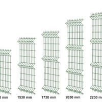 Clôture de sécurité 3D incurvée durable et portails de voie d'accès robustes |   Clôture de jardin en PVC et structure en fer |   Service de conception 3D inclus