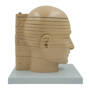 PNT-1612 kích thước Cuộc Sống đĩa đầu Não Mô Hình Giải Phẫu - Product Image 1