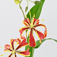 Bunga Lily Sutra Buatan 76CM, Bingkai Cerah dan Indah, untuk Dekorasi Pernikahan, Pesta Dalam Ruangan, Hiasan Meja, Latar Belakang, dan Hotel