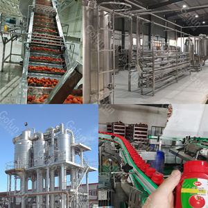 Ligne de production de concentré de <span class=keywords><strong>tomate</strong></span> personnalisée, usine de transformation de la <span class=keywords><strong>tomate</strong></span>, machine dédiée au lavage, à l'épluchage, à l'extraction de jus et à l'emballage - Product Image 6