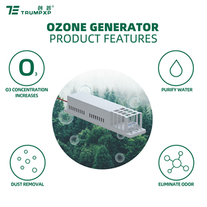 TCB-58 nhà máy Mini Máy phát điện Ozone Máy lọc không khí giá tuổi thọ điện phân O3 Máy lọc không khí Máy phát điện Ozone - Product Image 2