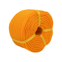Corde en plastique PE à 3 brins de différentes couleurs, fabriquée en Chine, toutes tailles