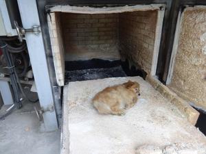 Máquina de Tratamiento de Aguas, Incinerador de Residuos Médicos sin Humo con Depurador Húmedo/Sistema de Purificación de Gases de Combustión, Horno Crematorio para Animales, Máquina de Cremación - Product Image 6