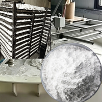 Óxido de Aluminio Nano de Alta Pureza Al2O3, Polvo de Alúmina Activada Gamma, Catalizador, Adsorbente, Membrana Cerámica, Pulido