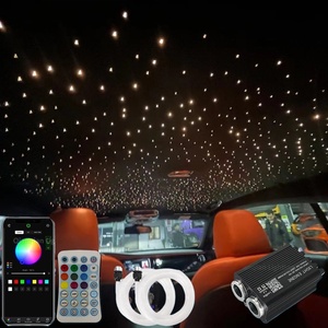 Luce Ambientale a Fibra Ottica <span class=keywords><strong>LED</strong></span> per Interni Auto, Modifica del Tetto Stellato, DC12V QY-L013 per OLIVER - Product Image 2