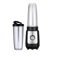 Mixeur-blender en acier inoxydable 300W, portable, pour fruits, avec fonction de broyage de glace