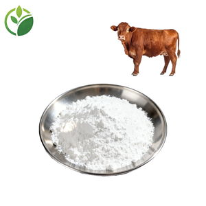 Toptan Yüksek Kaliteli Sığır Kolajeni %90 Sığır Kolajen Peptit Tozu - Product Image 1