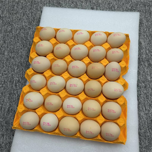 Impresora Automática de Huevos de un Solo Cabezal Yaomatec, Codificación de Alta Velocidad para Fecha en Cáscara de Huevo, Tinta Comestible para Marcar Huevos de Gallina - Product Image 5