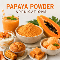 Poudre de Papaye : Ingrédient Tropical de Qualité Supérieure pour Smoothies, Boissons et Confiseries – Approvisionnement Direct Usine