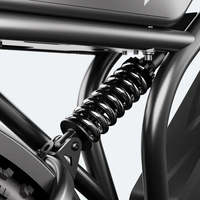 TST R9 Ultra Dual-Batterie Elektrofahrrad für Erwachsene 250W Motor E-Bike mit 48V 15Ah/35Ah 55-190km Reichweite Fatbike E-Bike