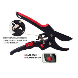 Sécateur télescopique en acier pour bonsaïs, outils de jardinage manuels, ciseaux d'élagage - Product Image 3