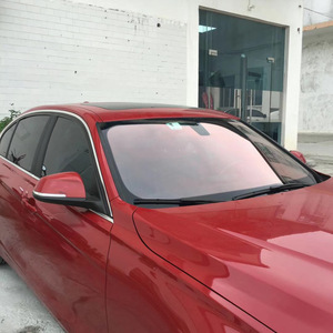 <strong>Window</strong> Film Decorative Beautiful Chameleon Front <strong>Window</strong> <strong>Tint</strong> - Product Image 3