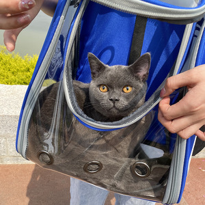 Oxford malzeme evcil hayvan taşıyıcı sırt çantası uzay kapsülü kabarcık kediler ve yavrular için fermuar kapatma ile şeffaf tasarım - Product Image 2