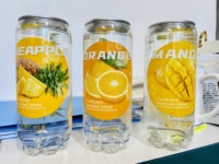 Elisha 350ml échantillon gratuit de boisson gazeuse fraîche orange fraîche congelée fructose bouteille bon marché pour animaux de compagnie emballage 0.35 L
