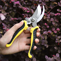 Sécateur Manuel Professionnel en Acier Inoxydable pour Jardinage, Ciseaux de Taille Bypass pour Fleurs et Plantes