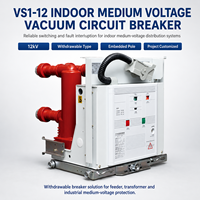 Interruptor de Circuito al Vacío con Cilindro Aislante VS1-12, 25kA/31.5kA, Trifásico, Convencional, Industrial, de Media Tensión