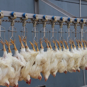 Máquina de aturdimiento de pollo Eruis, máquina de aturdimiento de aves de corral, equipo avícola - Product Image 6