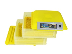 Incubadora Wonegg, Modelo Económico Más Vendido, para 96 Huevos, con Controlador Automático - Product Image 5
