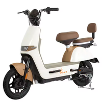 Scooter électrique 350W 48V, pneus larges, vélo électrique en acier, logo personnalisé, vélo électrique