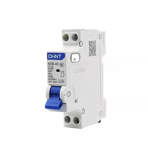 Большой инвентарь, распродажа, миниатюрный выключатель NXB-40 1P + N 25A (mcb) - Product Image 6