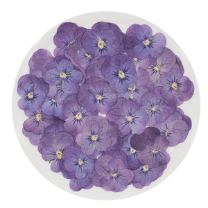 N073 2021 nuovo arrivo vendita calda materiale fai da te 100% naturale essiccato viola Pansy pressato fiori pressati Pansy fiori secchi - Product Image 1