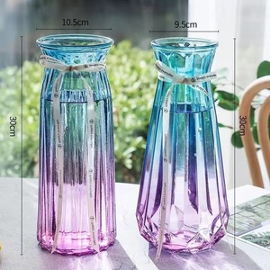 Vente en gros de vases pour plantes hydroponiques européennes Décoration de salon Arrangement floral Ornements Vase - Product Image 4