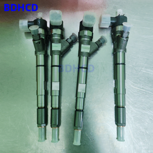 Inyector de combustible de piezas de automóvil a <span class=keywords><strong>precio</strong></span> de fábrica BDHCD 0445110092 3380004A000 0445110279 para Hyundai STAREX <span class=keywords><strong>Kia</strong></span> <span class=keywords><strong>SORENTO</strong></span> D4CB 0986435154 - Product Image 2