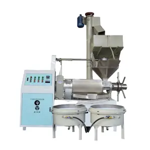 Factory Supply Vegetable Peanut Oliver Oil Press Machine Processing Equipment Automatic Oil Pressers Cold Oil Press Machine