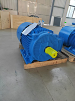 Motor Síncrono Trifásico de CA de Alto Rendimiento, 30KW, 66.7Hz, 1500 RPM, 220V/380V, Montaje en Piso, Totalmente Cerrado, Eficiencia IE2