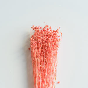 Tiges de haricot séchées pour bouquet de mariée, centre de table, garniture de vase, décoration intérieure, fournitures pour fleuristes et cadeaux de mariage - Product Image 4