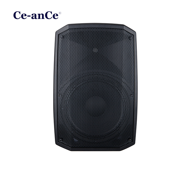 15 Inch Active Speaker Built-in DSP Wireless Bluetooth Class D Amplifier Suitable for Outdoor Activities, Party, Speech, Karaoke