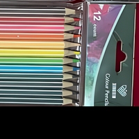 Crayons à dessin et à croquis de 12 couleurs, fournitures artistiques multicolores, emballage sous blister