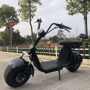 Trottinette Électrique Pliable 10 Pouces avec Batterie au Lithium, 2 Roues, Grande Autonomie, Modèle Big Foot, Idéale pour la Conduite - Product Image 1