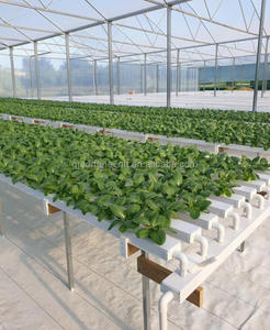 Fábrica que Suministra Sistemas de Cultivo Hidropónico NFT - Product Image 3