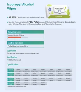 Winner Factory Direct Custom Cleaning Wet Wipes Biodegradable Disposable Wet Tissue