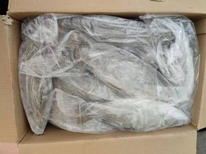 سمك التونة الحمراء المجمدة بسعر منخفض، سعر الكيلوغرام للسمك الكامل، تجارة المأكولات البحرية في السوق - Product Image 5