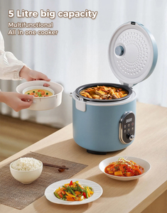 Appareil ménager 5 litres grande capacité cuiseur à riz multifonctionnel tout en un cuiseur 24 heures fonction préréglée cuiseur à riz - Product Image 3