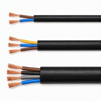 Câble RVV industriel flexible en cuivre nu gainé PVC, certifié CE RoHS, 1mm², 4mm², 2 conducteurs, 4 conducteurs