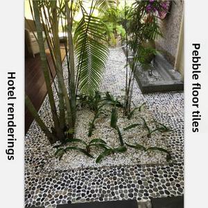 Nhà Máy Trực Tiếp Nhà Cung Cấp Sỏi Tốt Nhất Chất Lượng Cao Cấp Cao Đánh Bóng Màu Đen Sỏi Và Sông Đá Gravels - Product Image 5